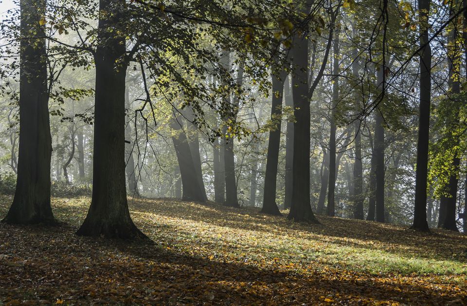 Autumn in a town park in Kłodzko, Poland
