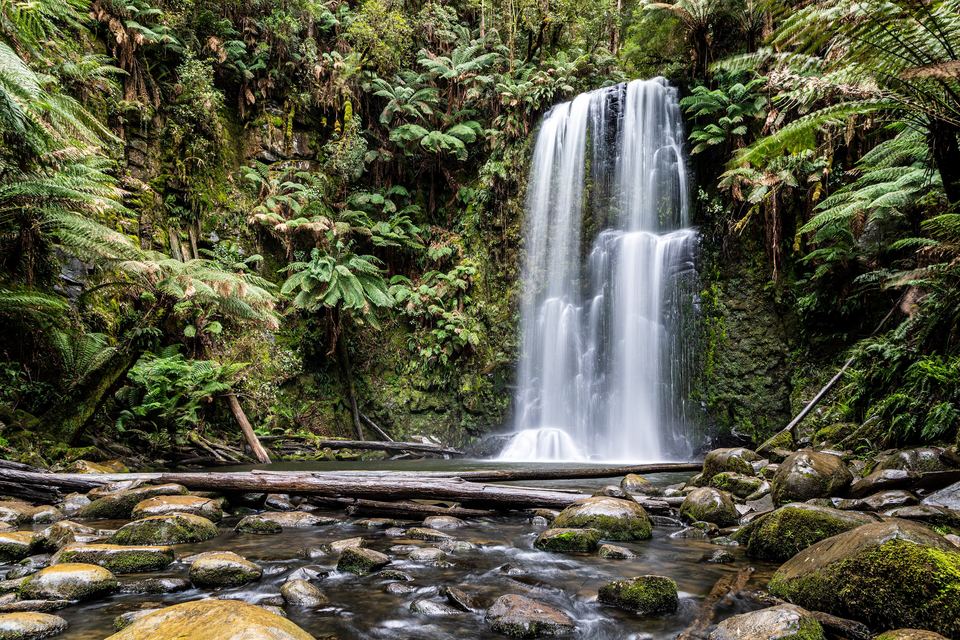 Beauchamp Falls, Great Otway National Park, Australia